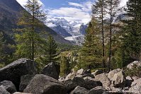 18 Pontresina Morterastch - Ghiacciaio del Morteratsch Capanna Boval